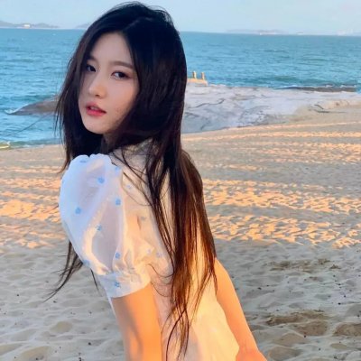 鹬